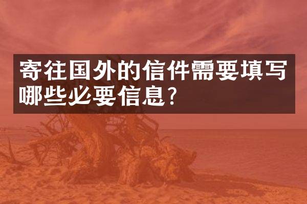 寄往国外的信件需要填写哪些必要信息？