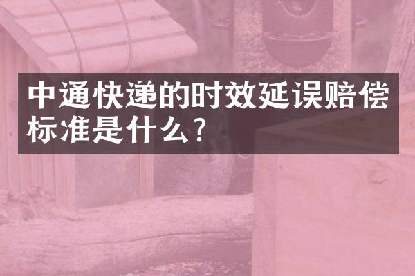 中通快递的时效延误赔偿标准是什么？