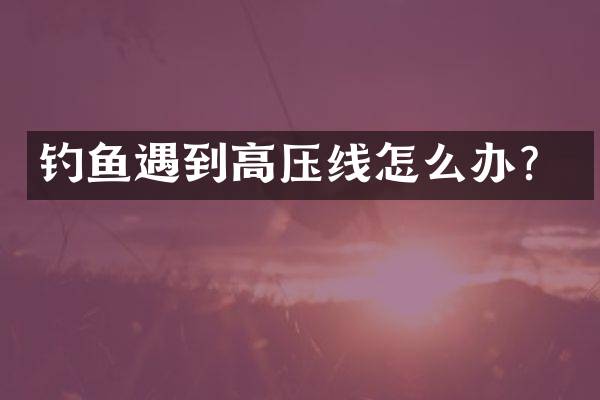 钓鱼遇到高压线怎么办？