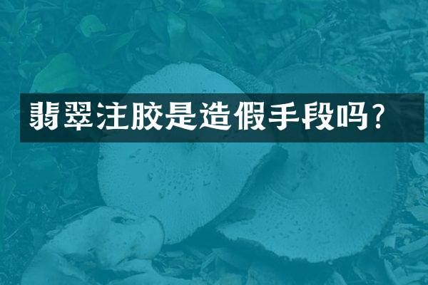 翡翠注胶是造假手段吗？