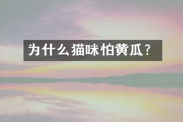 为什么猫咪怕黄瓜？