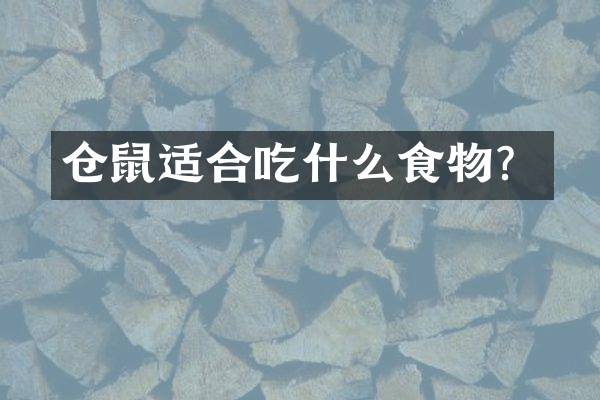 仓鼠适合吃什么食物？