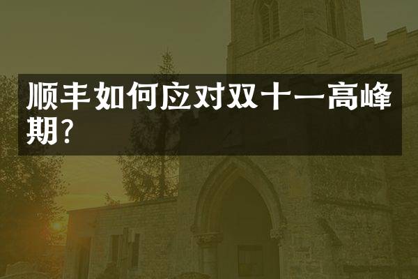 顺丰如何应对双十一高峰期？