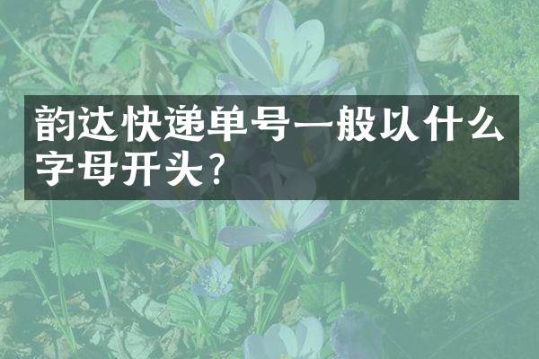 韵达快递单号一般以什么字母开头？