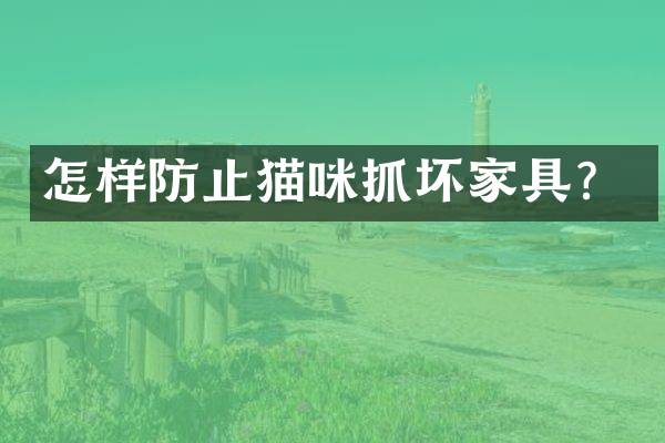 怎样防止猫咪抓坏家具？