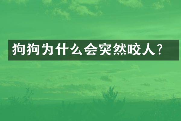狗狗为什么会突然咬人？