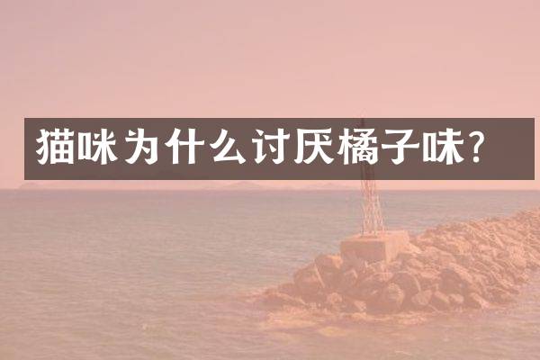 猫咪为什么讨厌橘子味？