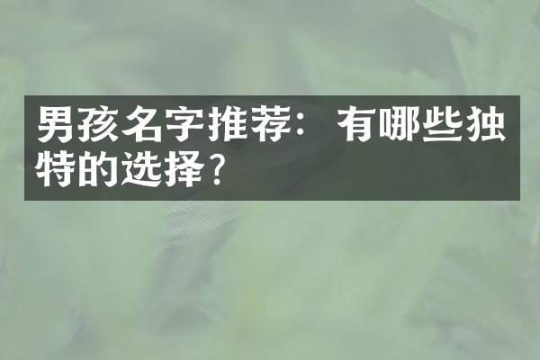 男孩名字推荐：有哪些独特的选择？