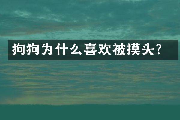 狗狗为什么喜欢被摸头？