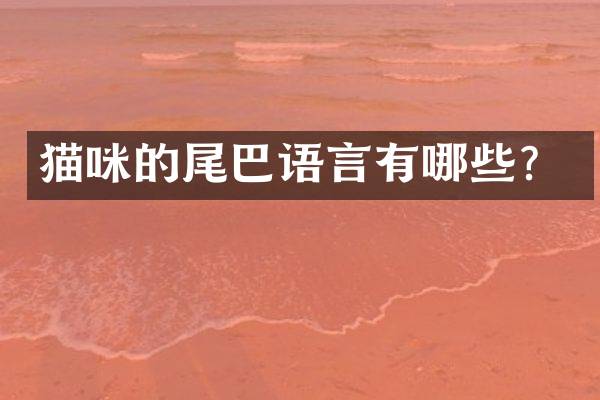 猫咪的尾巴语言有哪些？