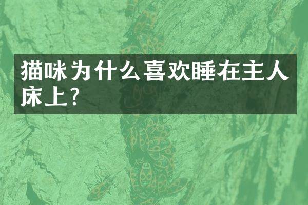 猫咪为什么喜欢睡在主人床上？