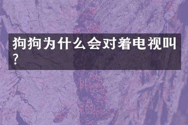狗狗为什么会对着电视叫？