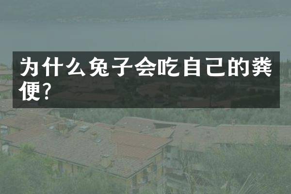 为什么兔子会吃自己的粪便？
