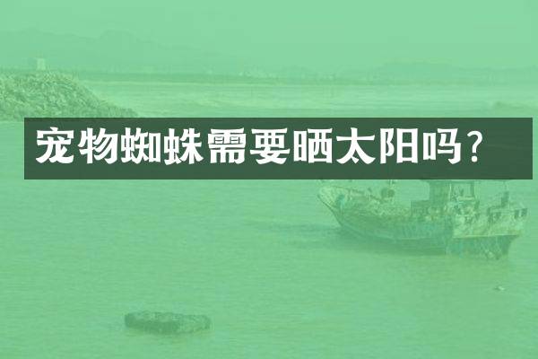 宠物蜘蛛需要晒太阳吗？