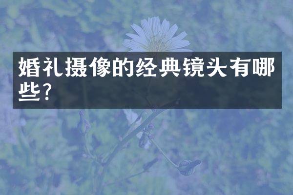 婚礼摄像的经典镜头有哪些？