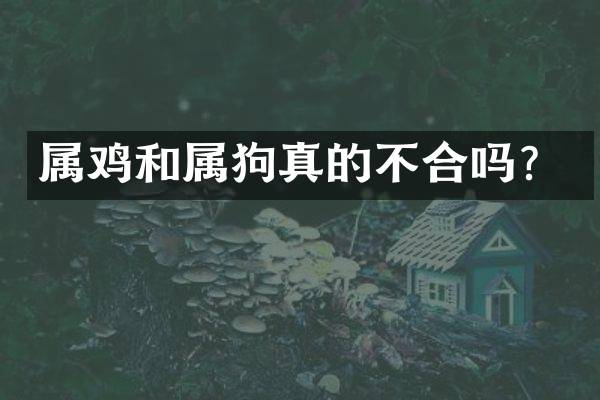 属鸡和属狗真的不合吗？