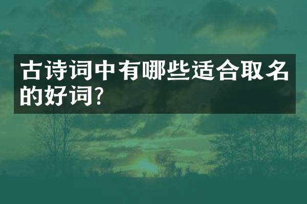 古诗词中有哪些适合取名的好词？