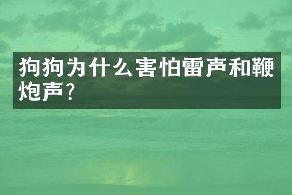 狗狗为什么害怕雷声和鞭炮声？