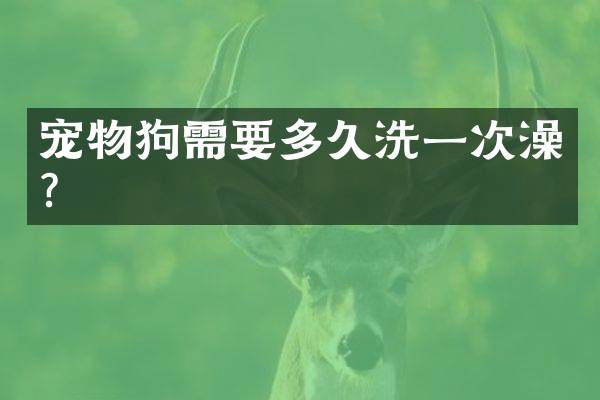 宠物狗需要多久洗一次澡？