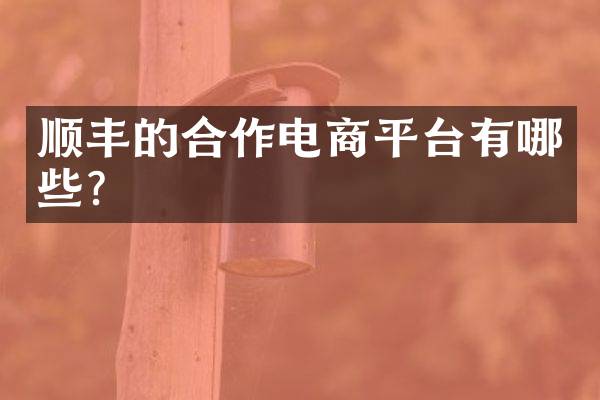 顺丰的合作电商平台有哪些？