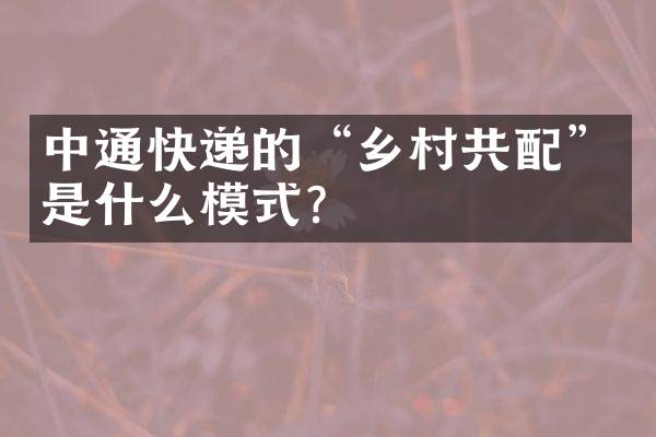 中通快递的&ldquo;乡村共配&rdquo;是什么模式？