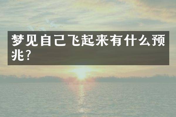 梦见自己飞起来有什么预兆？