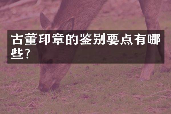 古董印章的鉴别要点有哪些？