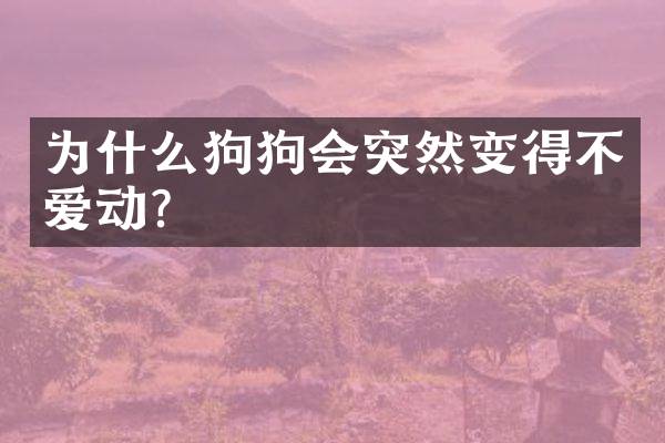 为什么狗狗会突然变得不爱动？