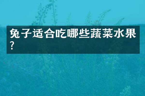 兔子适合吃哪些蔬菜水果？