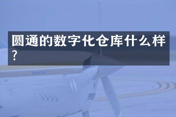 圆通的数字化仓库什么样？