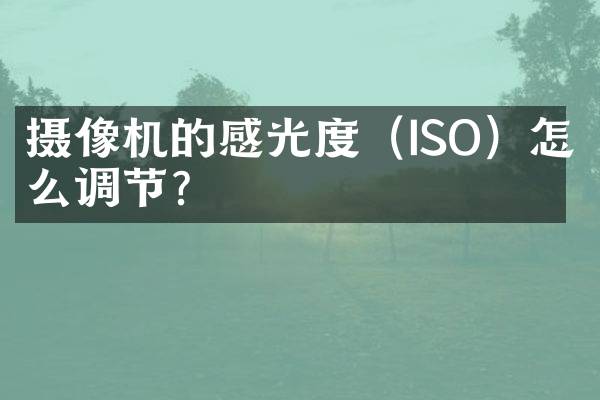 摄像机的感光度（ISO）怎么调节？