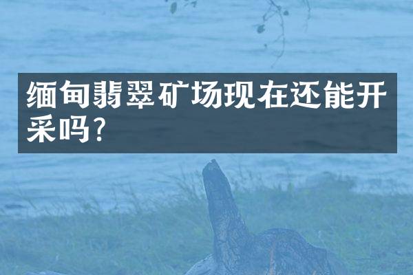 缅甸翡翠矿场现在还能开采吗？