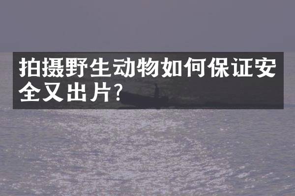 拍摄野生动物如何保证安全又出片？