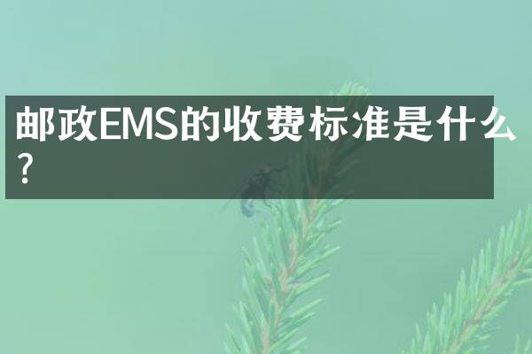 邮政EMS的收费标准是什么？