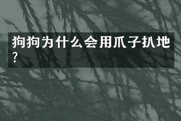 狗狗为什么会用爪子扒地？
