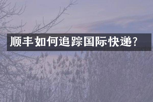 顺丰如何追踪国际快递？