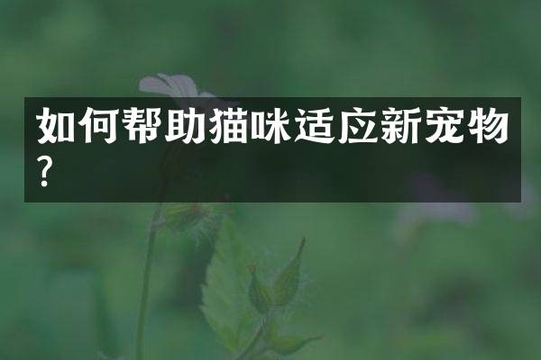 如何帮助猫咪适应新宠物？
