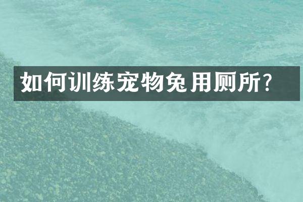 如何训练宠物兔用厕所？