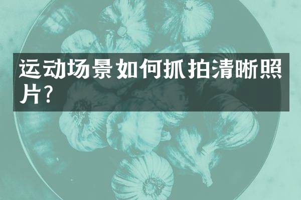 运动场景如何抓拍清晰照片？