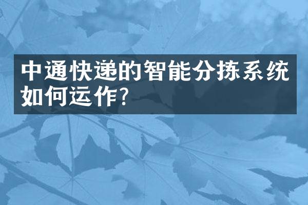 中通快递的智能分拣系统如何运作？