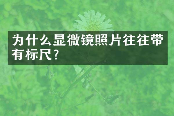 为什么显微镜照片往往带有标尺？