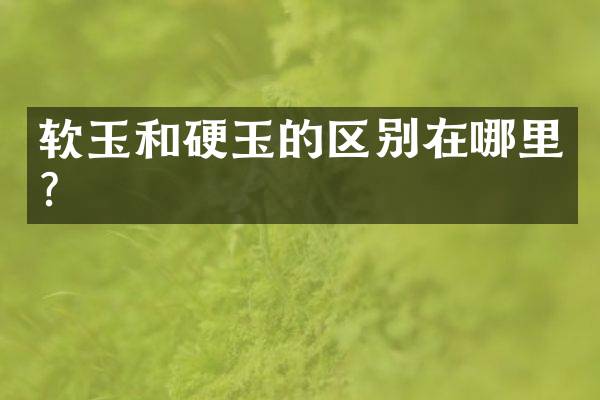 软玉和硬玉的区别在哪里？