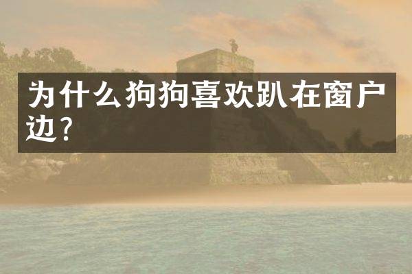 为什么狗狗喜欢趴在窗户边？