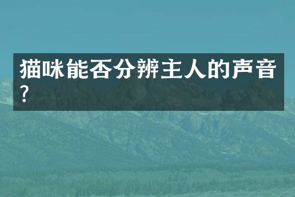 猫咪能否分辨主人的声音？