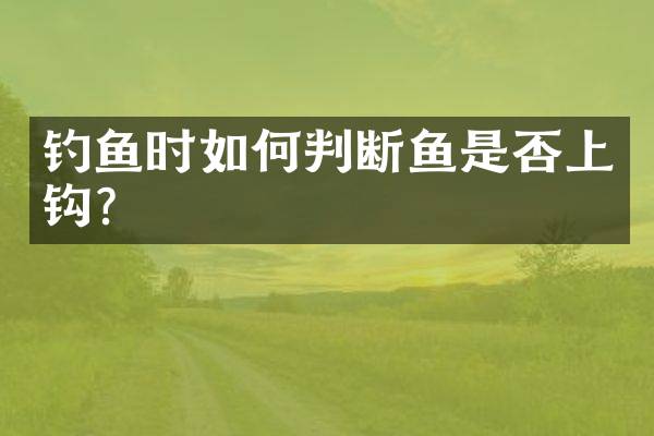 钓鱼时如何判断鱼是否上钩？