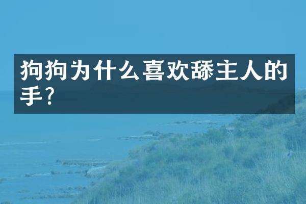狗狗为什么喜欢舔主人的手？