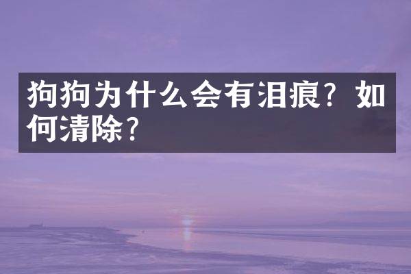 狗狗为什么会有泪痕？如何清除？