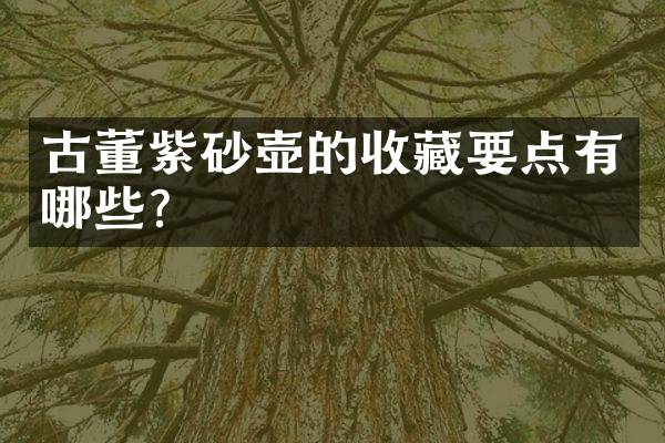 古董紫砂壶的收藏要点有哪些？