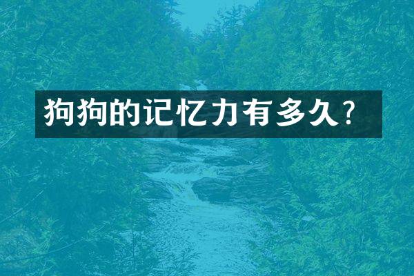 狗狗的记忆力有多久？