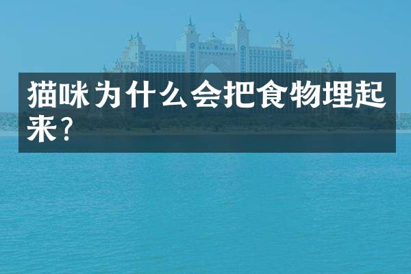 猫咪为什么会把食物埋起来？